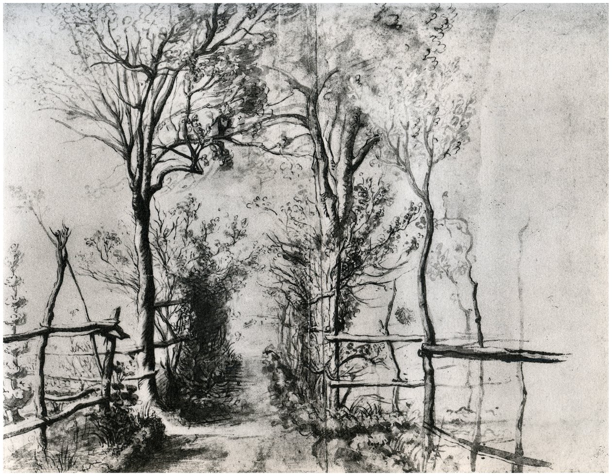 绿树成荫的小径，c1620-1625 1958 作者 不明