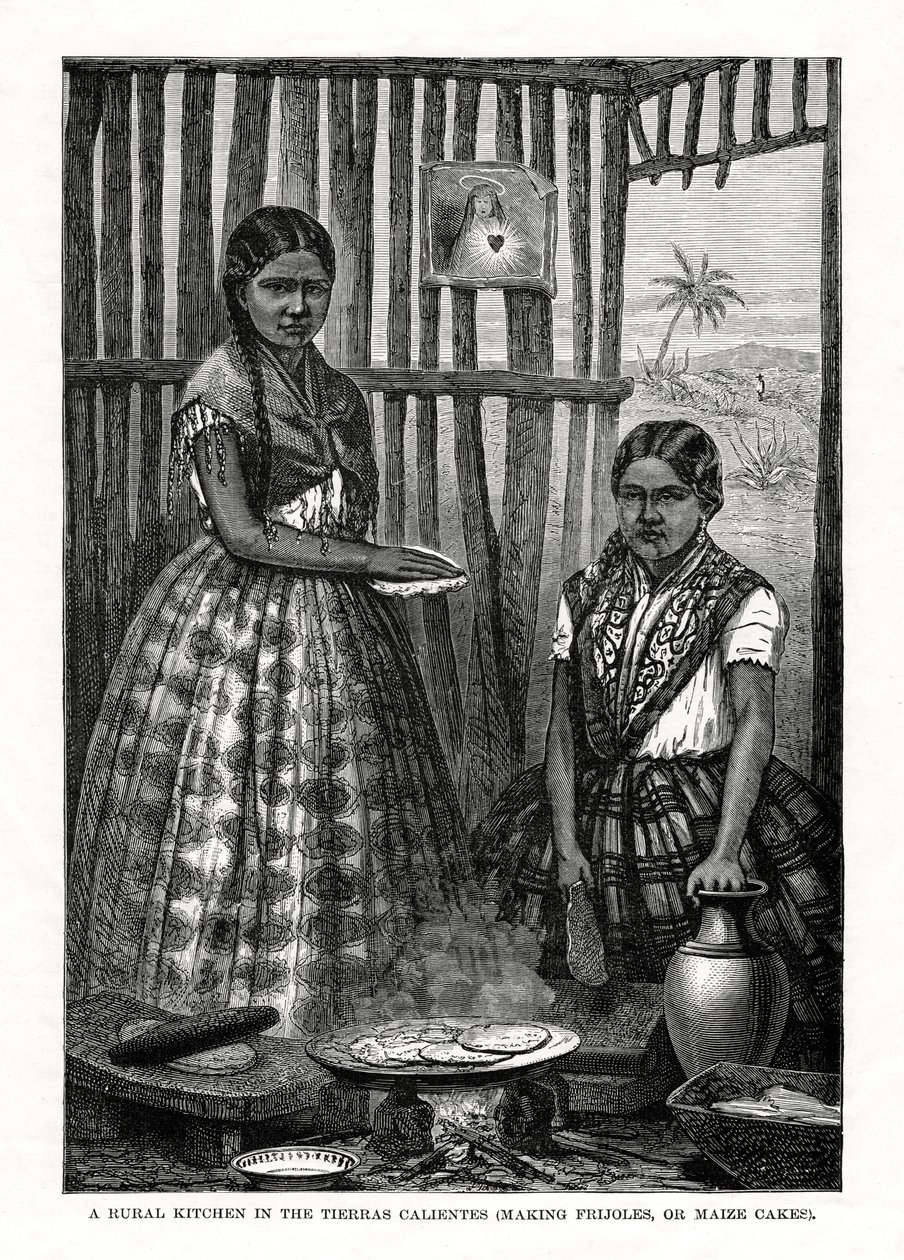 墨西哥Tierras Calientes的乡村厨房，1877年 作者 不明