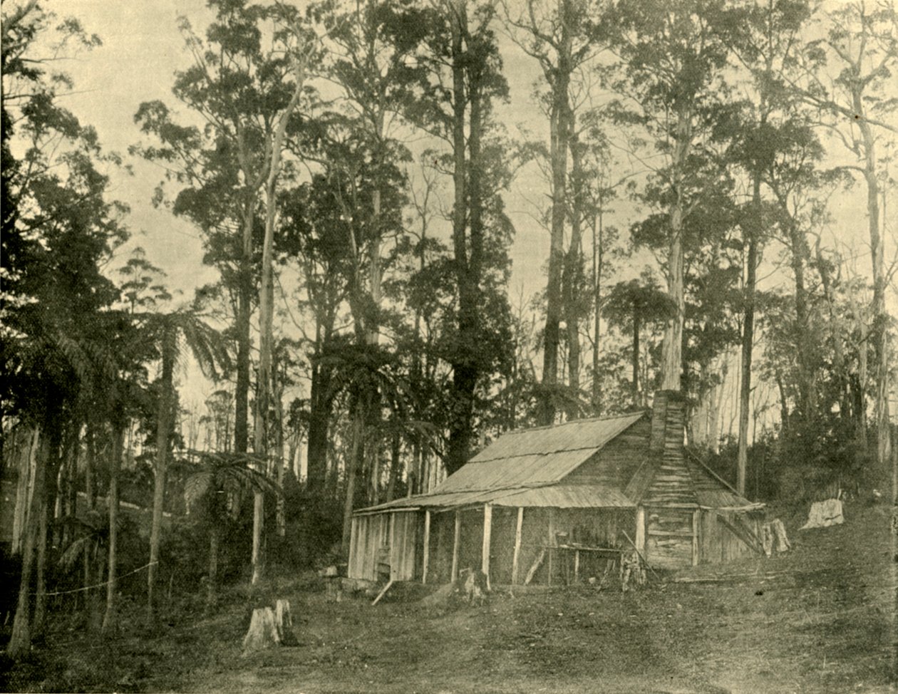 乡村住宅，1901年。 作者 不明