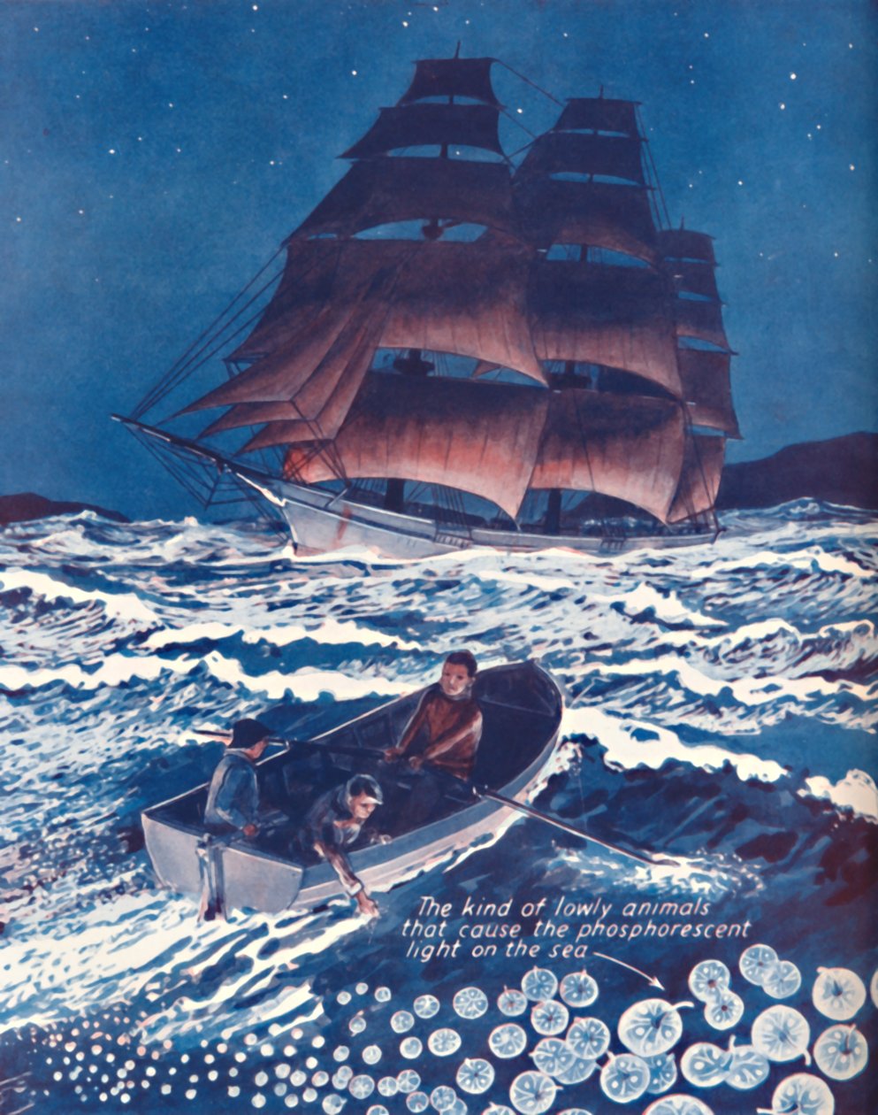 活着的夜灯照亮的大海，1935年 作者 不明