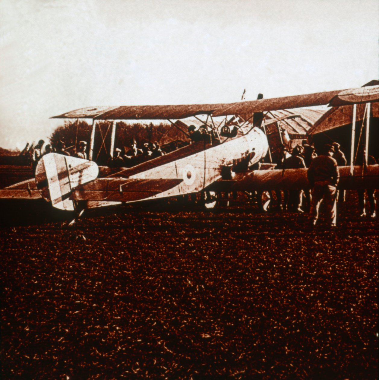 骆驼的Sopwith骆驼，c1917-c1918 作者 不明