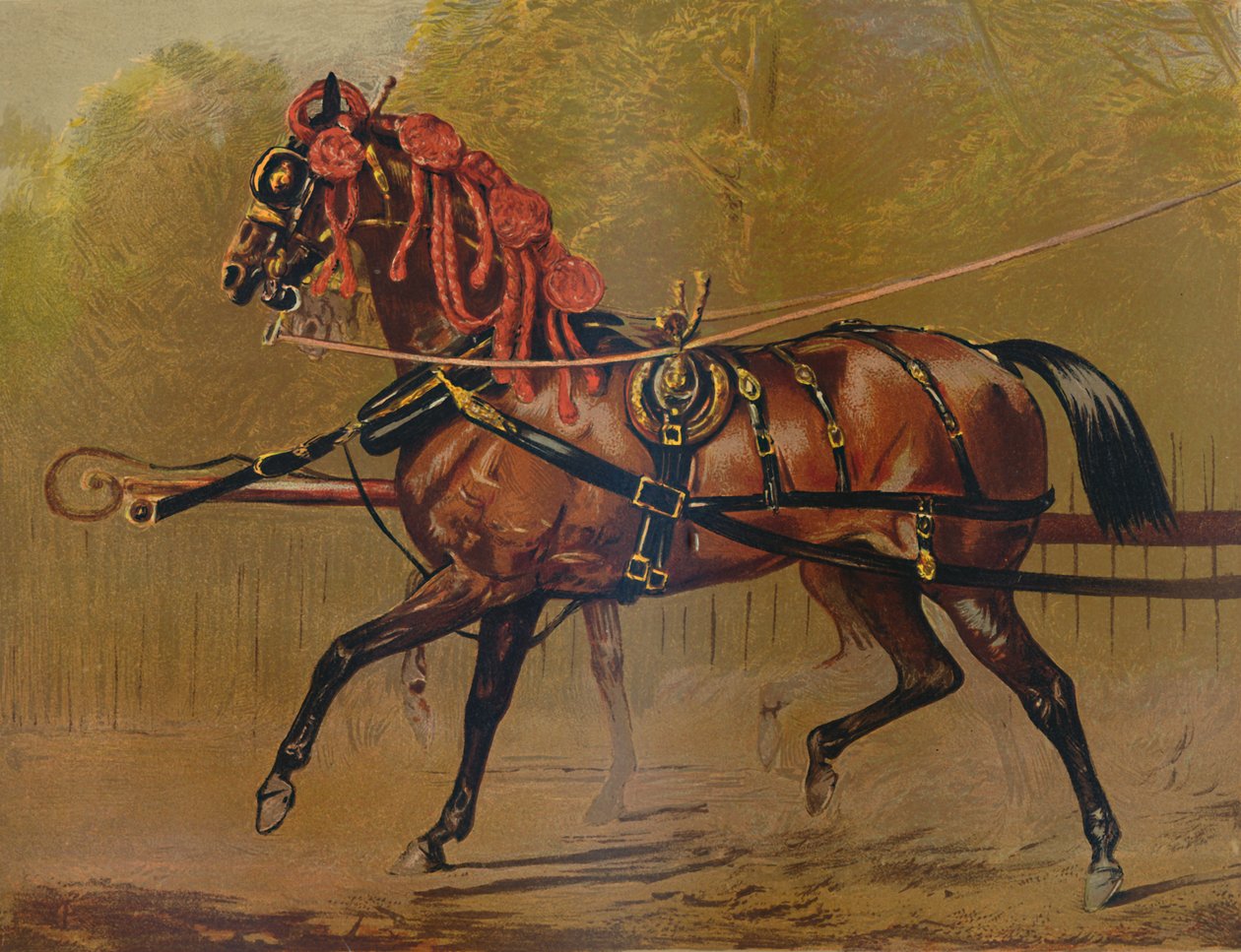 国家马车，c1879年。 作者 不明