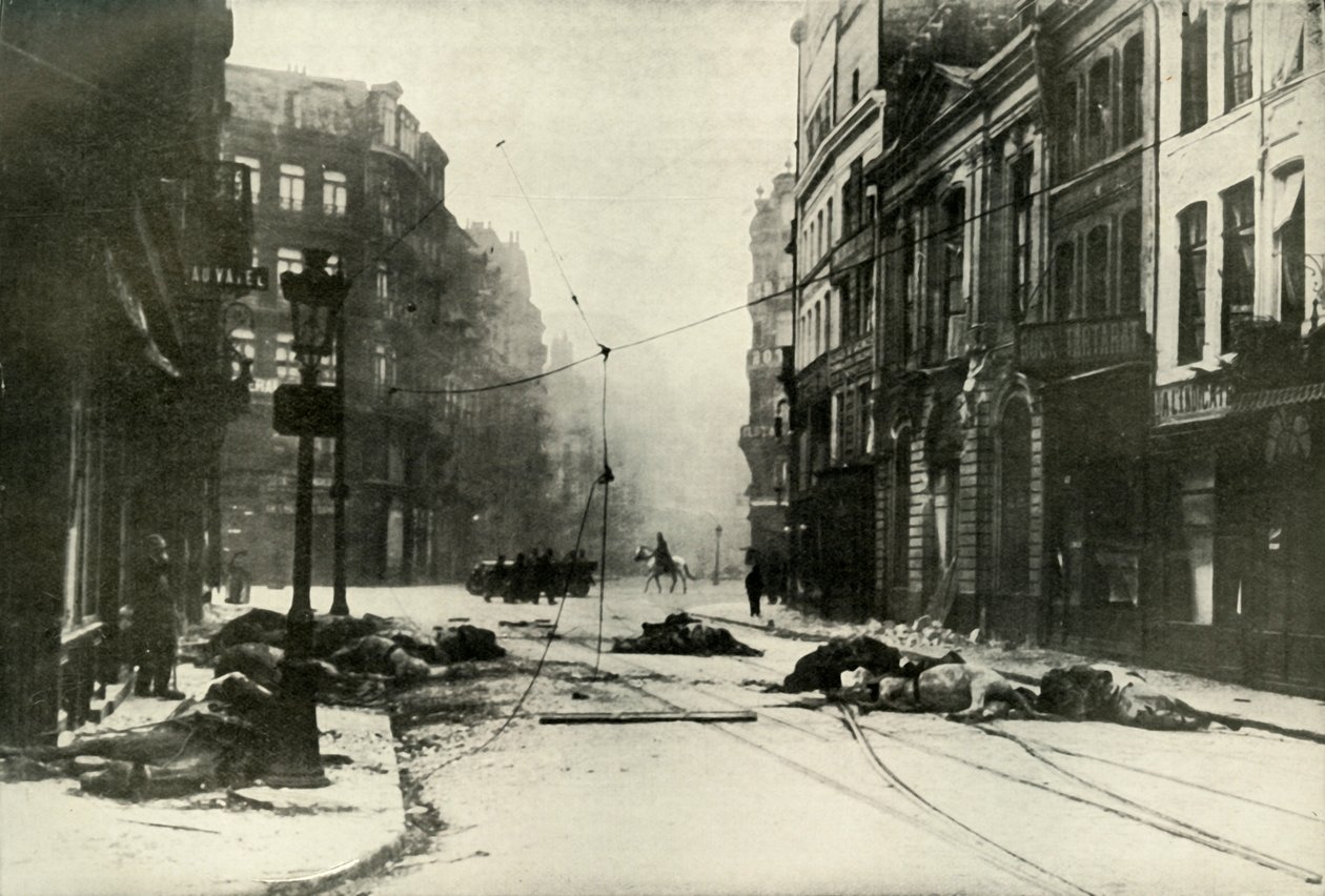 1919年在里尔的一条街。 作者 不明