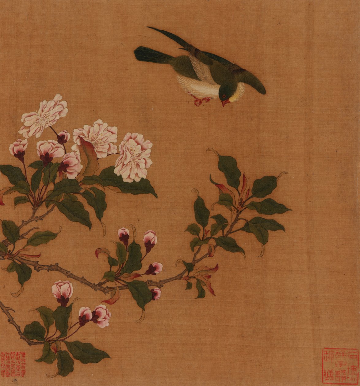 一只鸟在开花的树枝上盘旋，清代，18世纪。 作者 不明