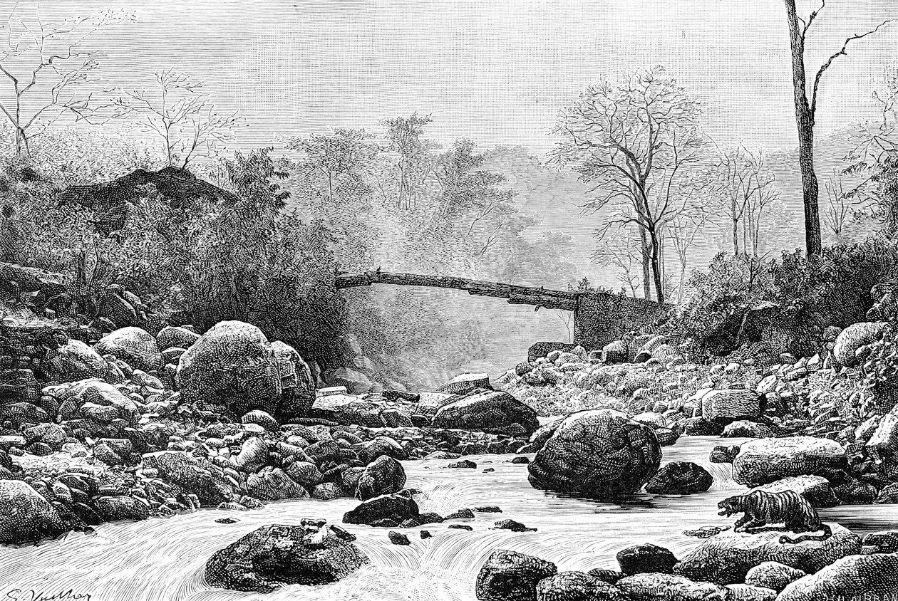 1895年，印度蒂埃斯塔河支流兰吉特桥 作者 不明