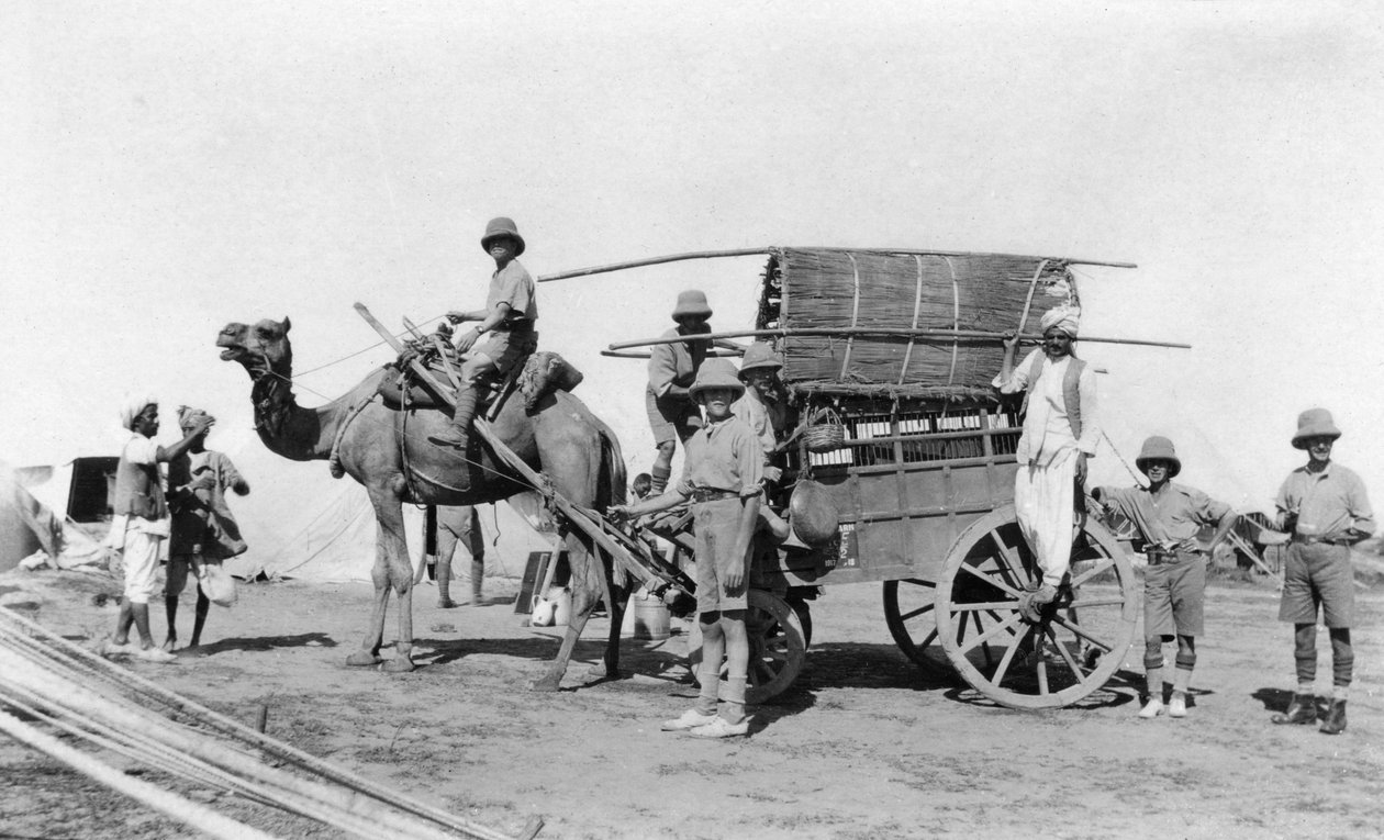骆驼车，印度，1916-1917年 作者 不明