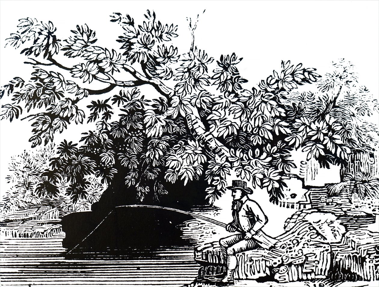 一个渔夫 作者 不明