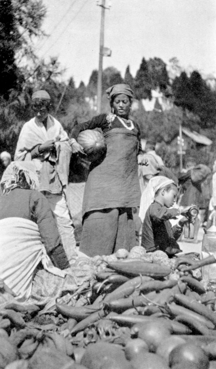 印度西孟加拉邦大吉岭的一个食品市场，建于1910年 作者 不明