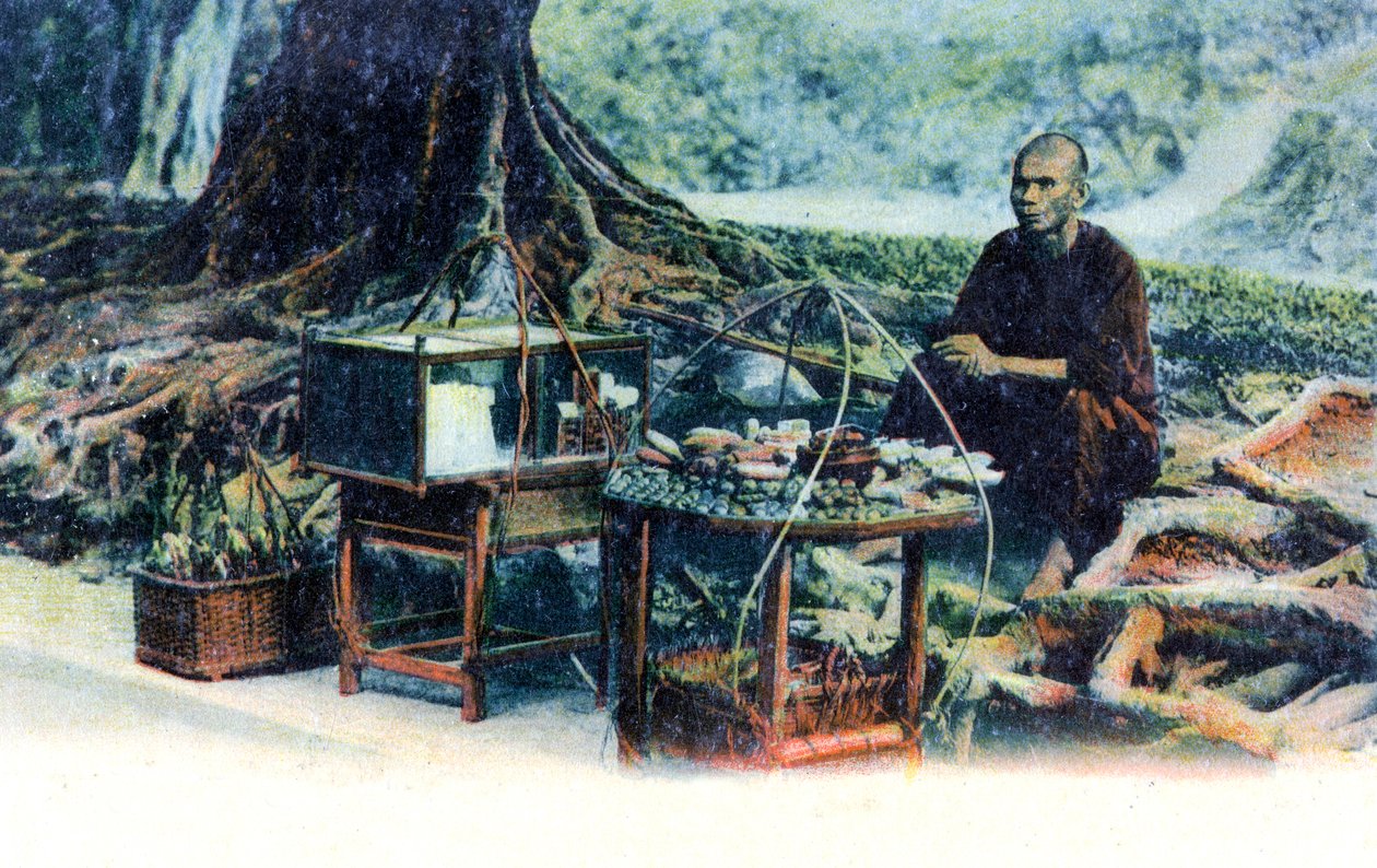 卖水果的人，一棵树下，中国香港，约1900年代 作者 不明