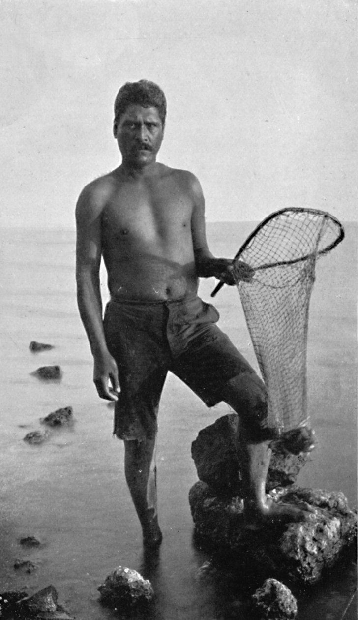 夏威夷的一个本地虾农，他的网，1902年 作者 不明