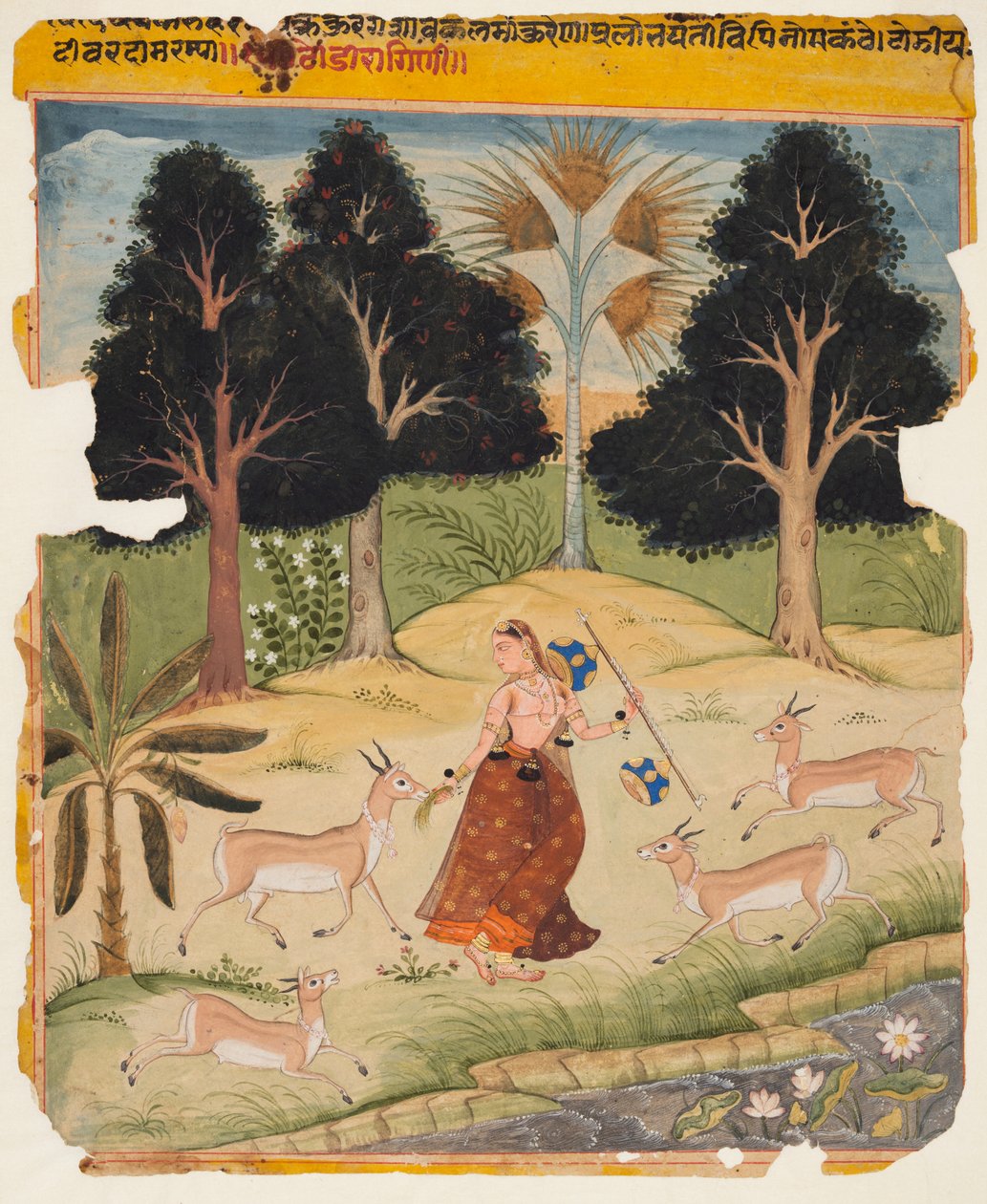 Ragamala手稿的一页：Todi Ragini，c。 1625。 作者 不明