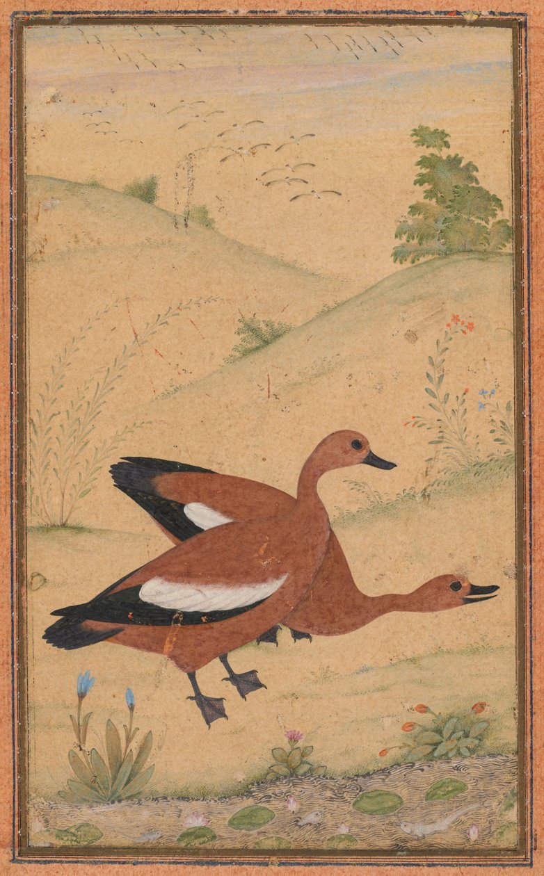 一对婆罗门鸭，c。 1595年，边界大概增加了1800年代。 作者 不明