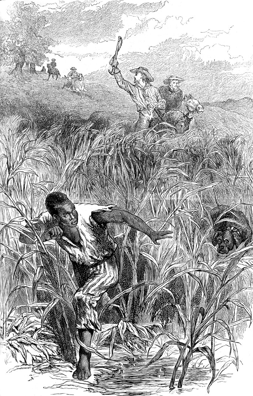 奴隶狩猎，美国，19世纪中期c1880 作者 不明