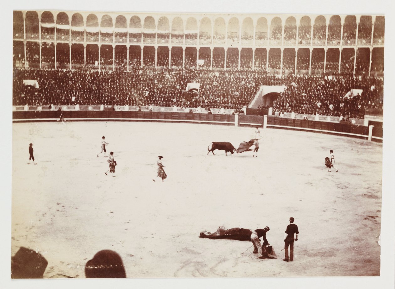 A snapshot photograph of a bullfight in front of a huge crowd in the Las Ventas del Espiritu Santo bullring, Madrid, taken by an unknown photographer in about 1930 作者 不明
