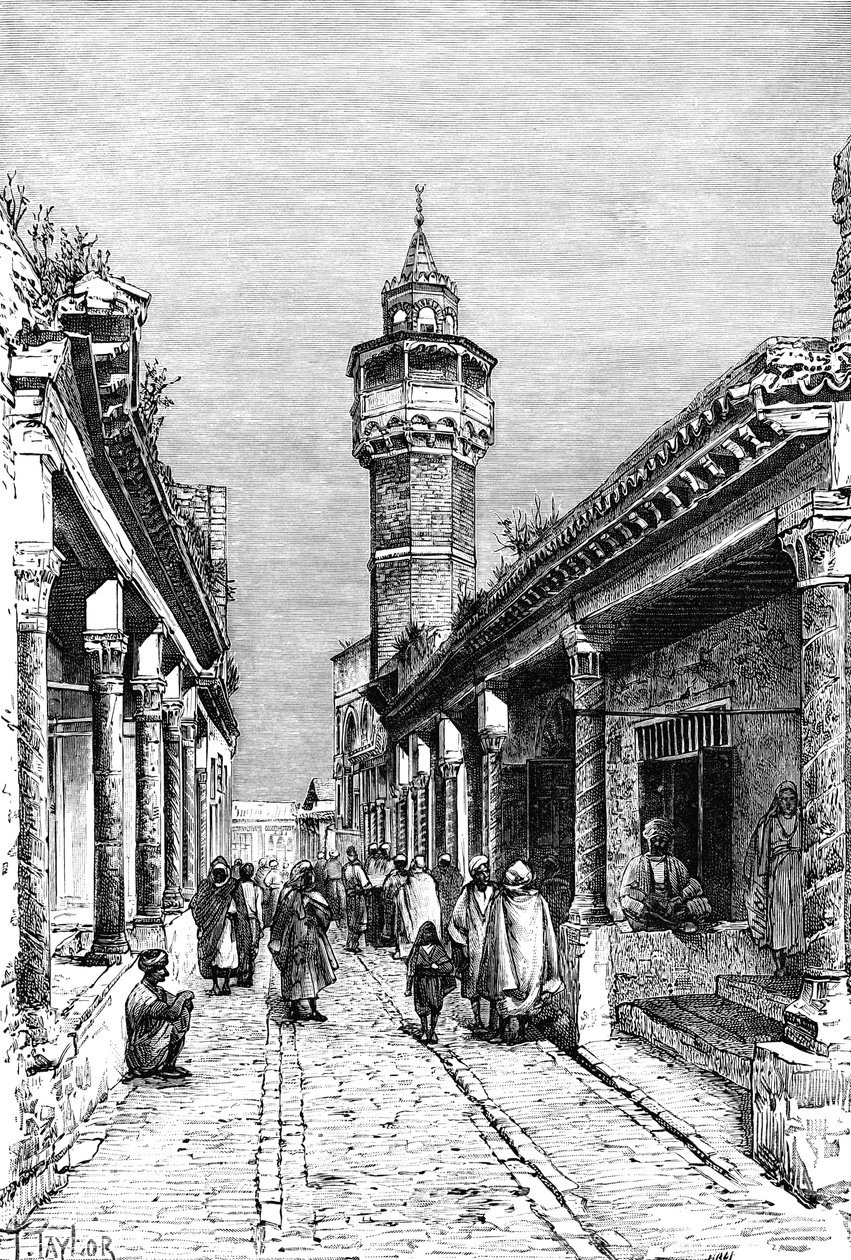 突尼斯Suk区的一条街，1895年 作者 不明