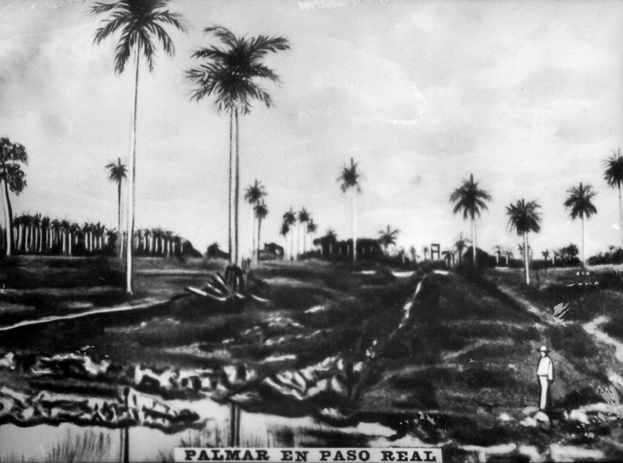 PasoReal行动，1896年，1920年代 作者 不明