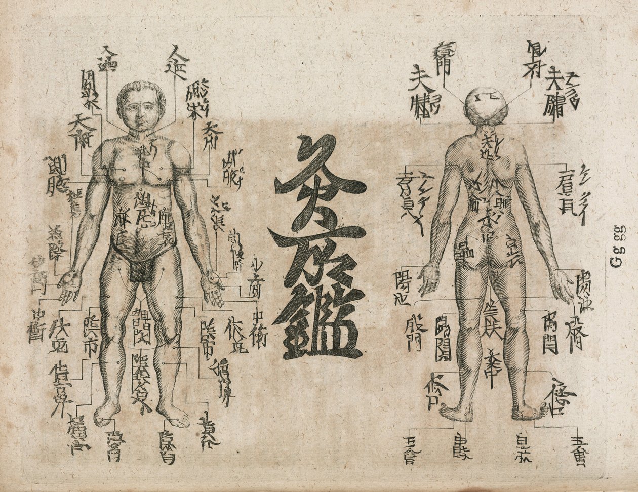 艾灸图显示应该避免烧焦的地方 作者 不明