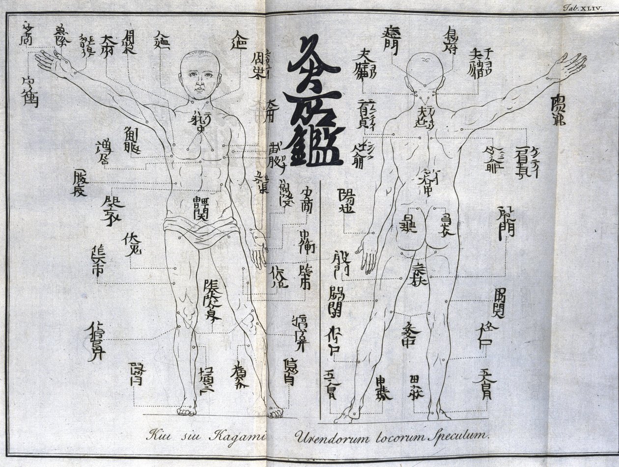 针灸：显示艾灸穴位的人体图，日本（与艾有关的图表，c 1690） 作者 不明