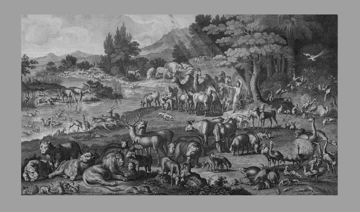 亚当为创世记命名，1818年。 作者 不明