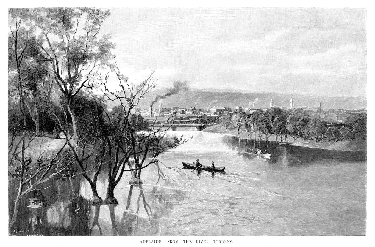 阿德莱德，来自托伦斯河，1886年 作者 不明