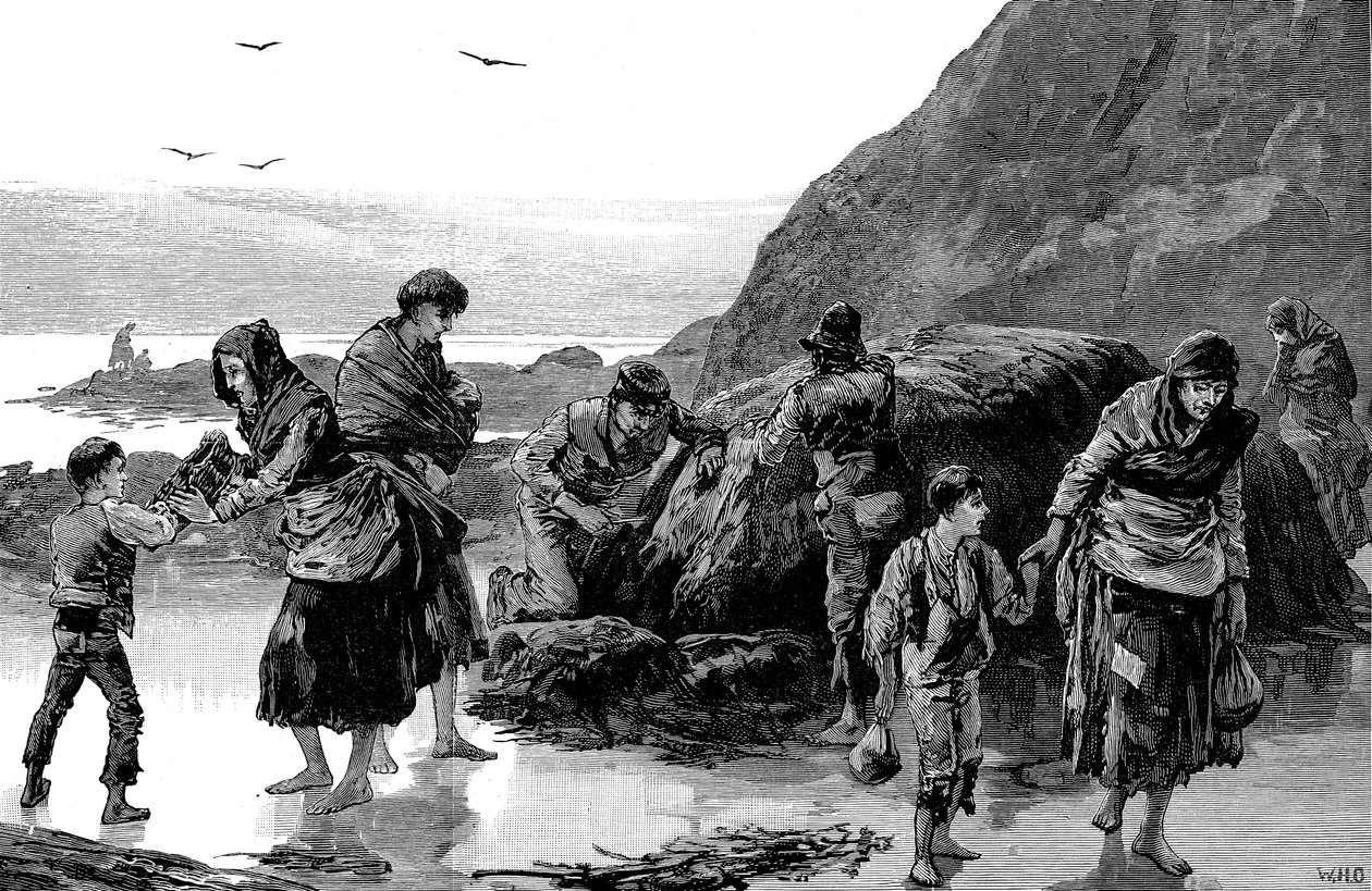 饥荒的后果，爱尔兰1840年代，1886年 作者 不明