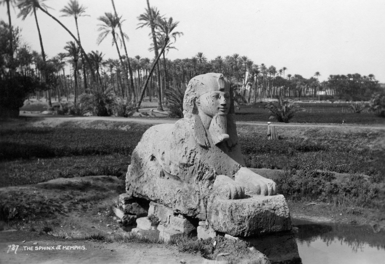 埃及孟菲斯的雪花石膏狮身人面像，c1920s-c1930s 作者 不明