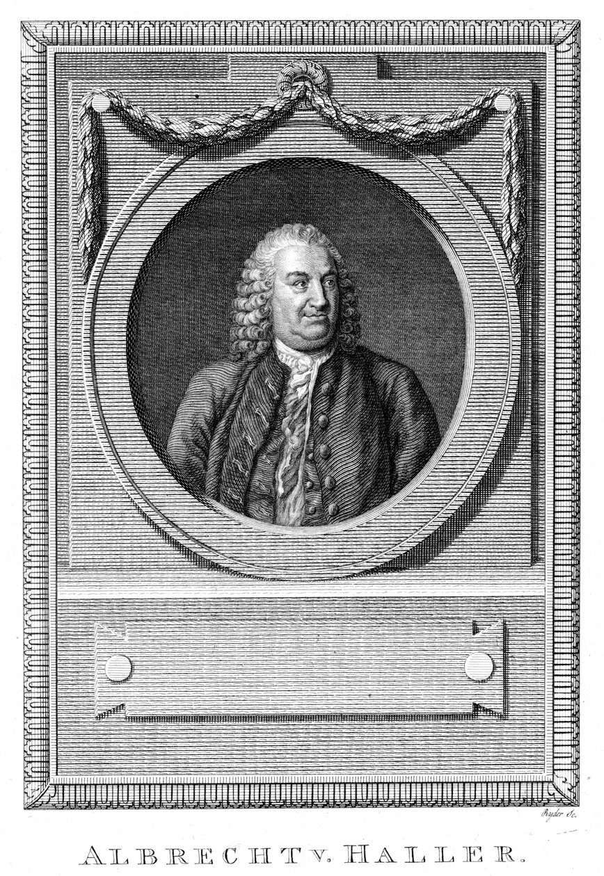 瑞士医师兼科学家Albrecht von Haller，c1770 c1780 作者 不明