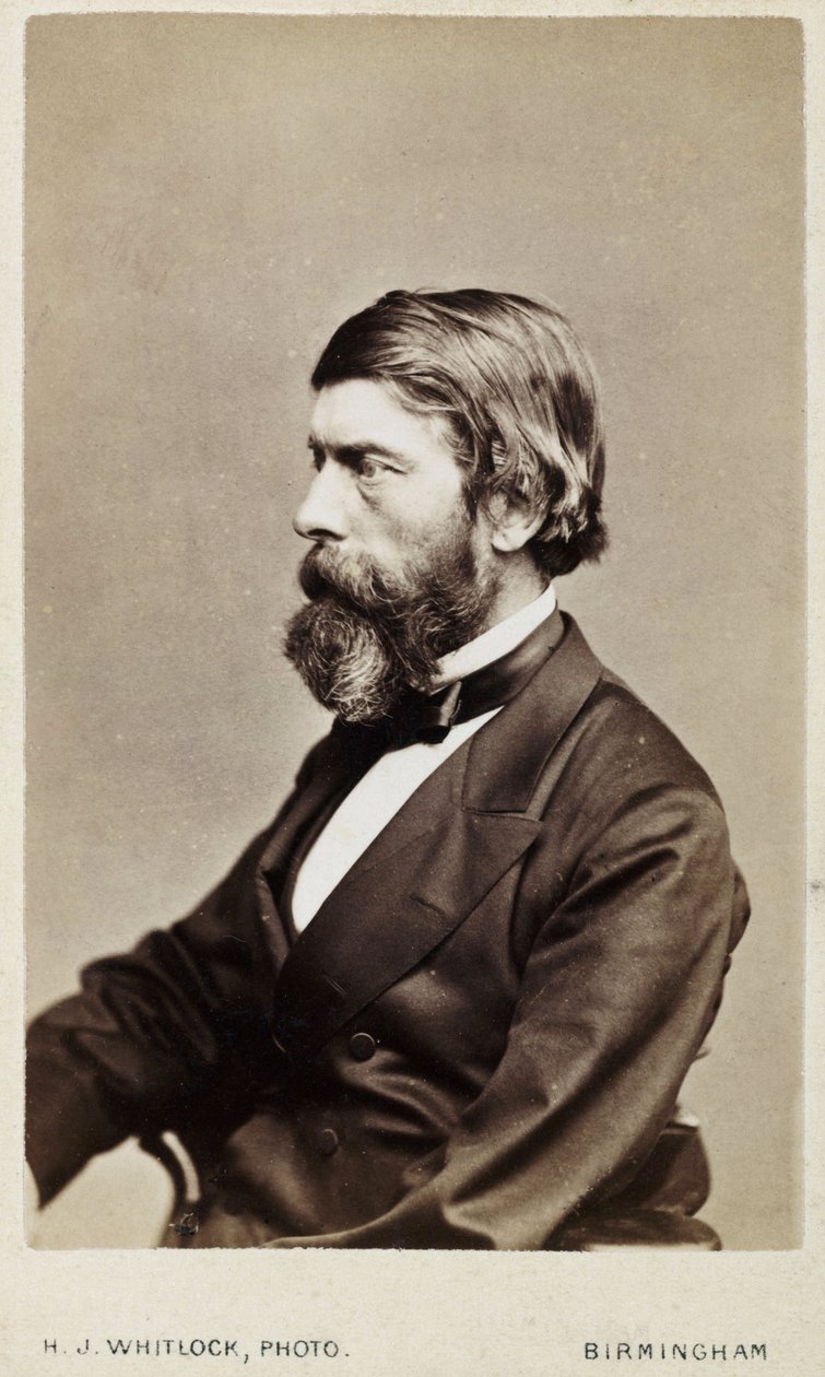 Alexander William Williamson, Scottish chemist, c 1865 作者 不明