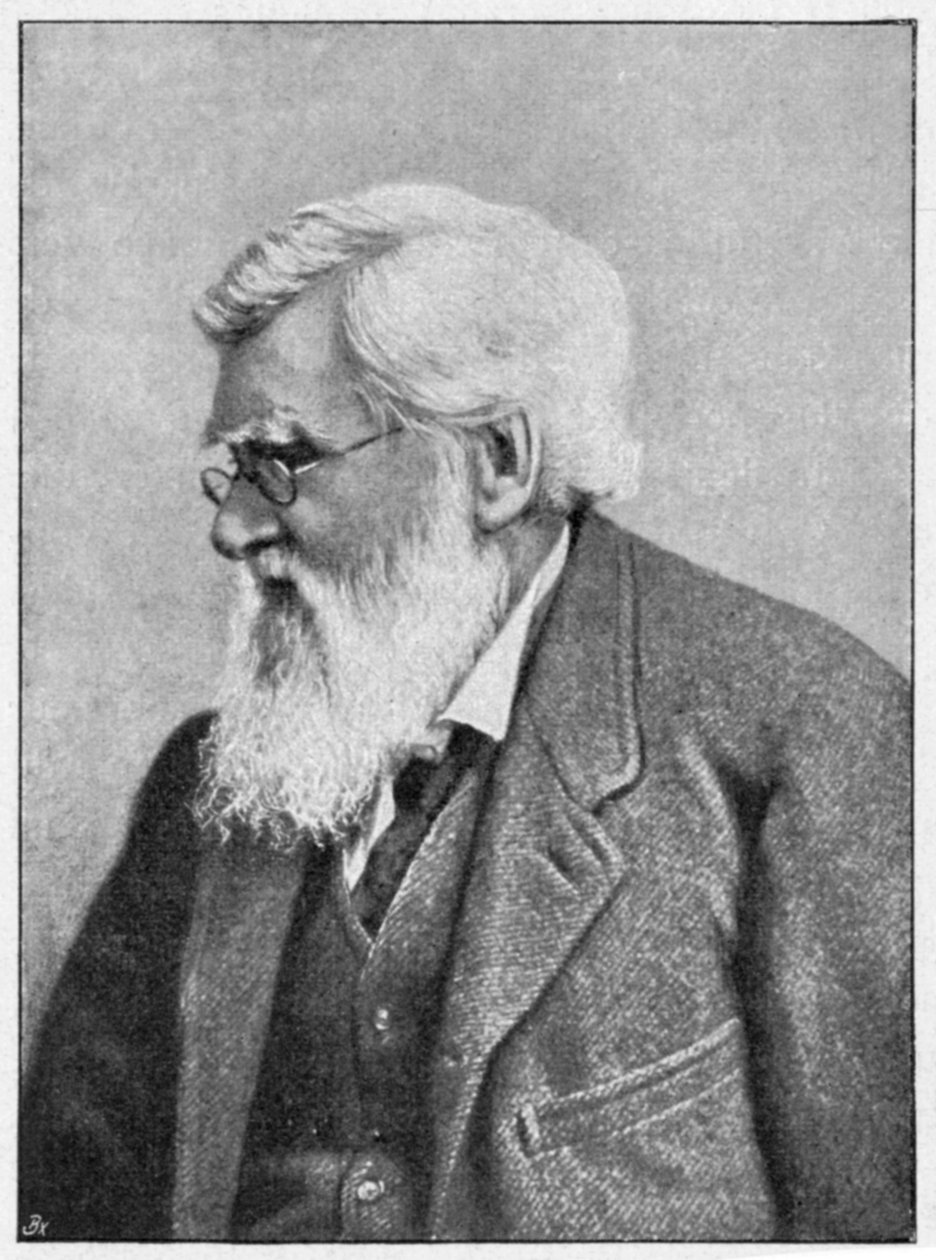 Alfred Russell Wallace，威尔士博物学家，c1895 作者 不明