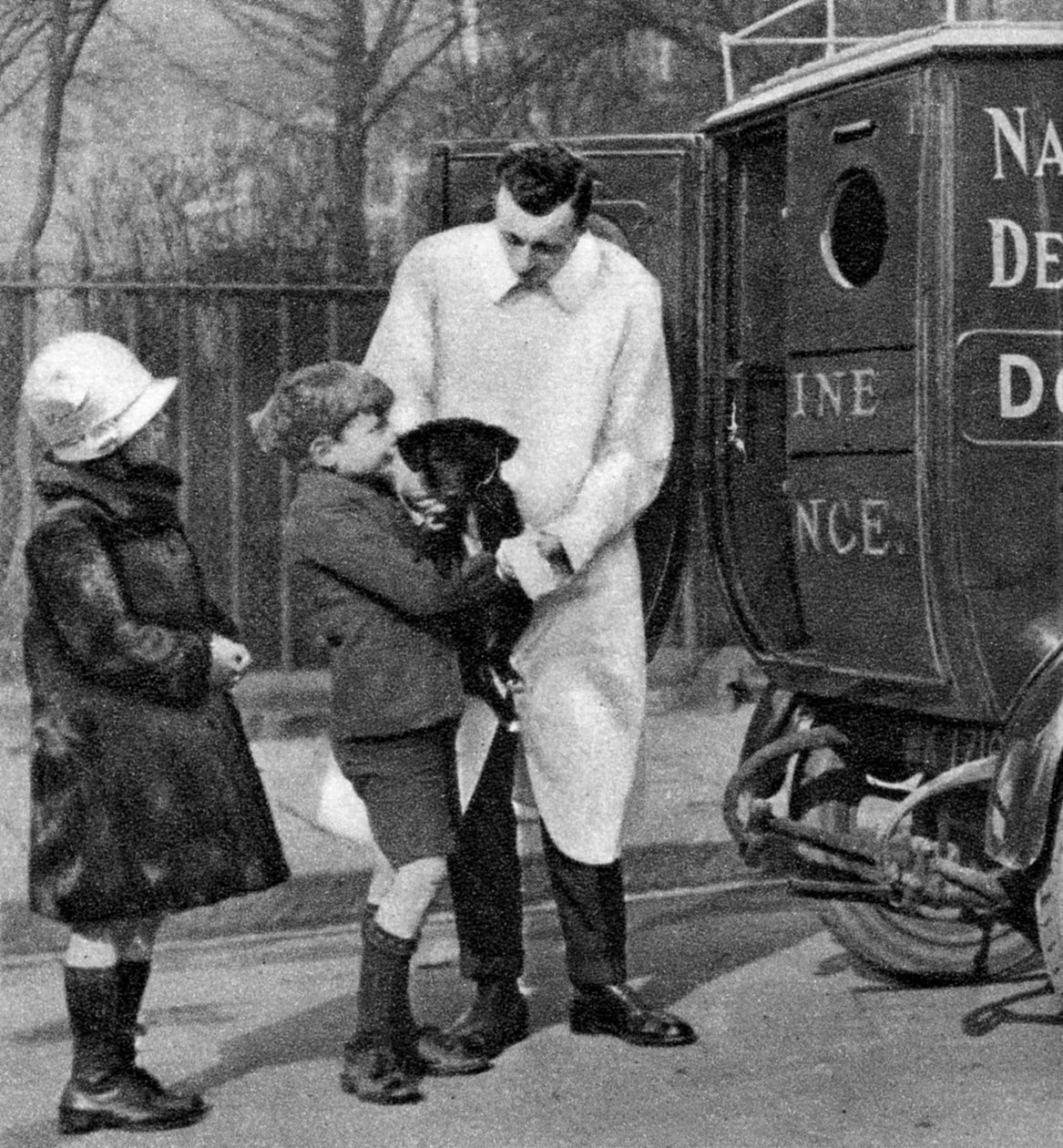 全国犬防同盟的救护车，伦敦，1926-1927年 作者 不明