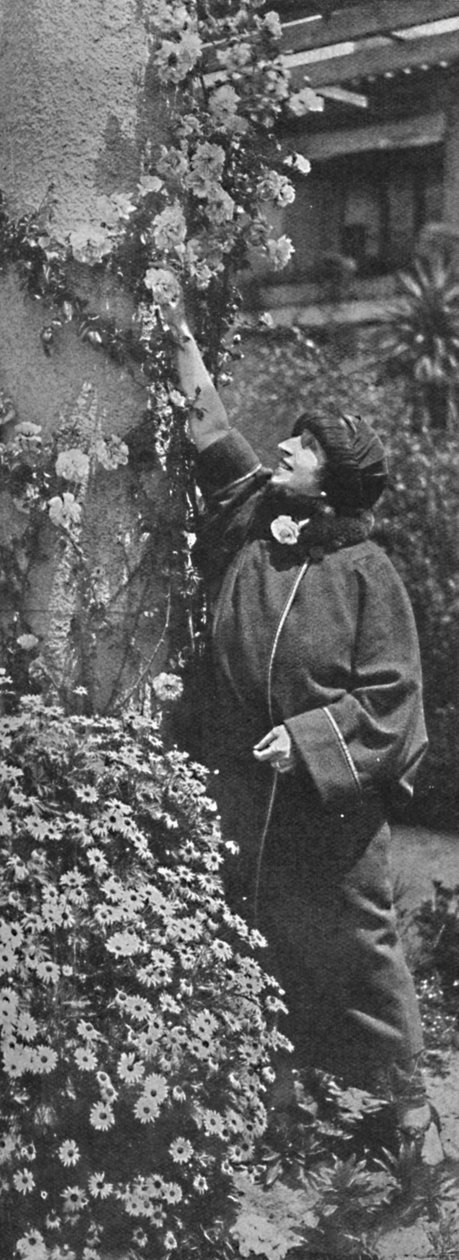 Amelita Galli-Curci-伟大的女主角收集玫瑰，她最喜欢的花朵，c1925 作者 不明