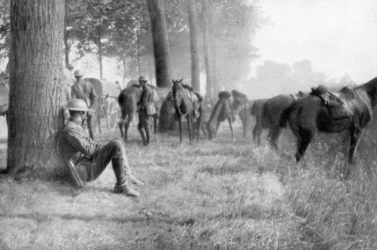 美国骑兵部队，法国，Chemin des Dames，1918年 作者 不明