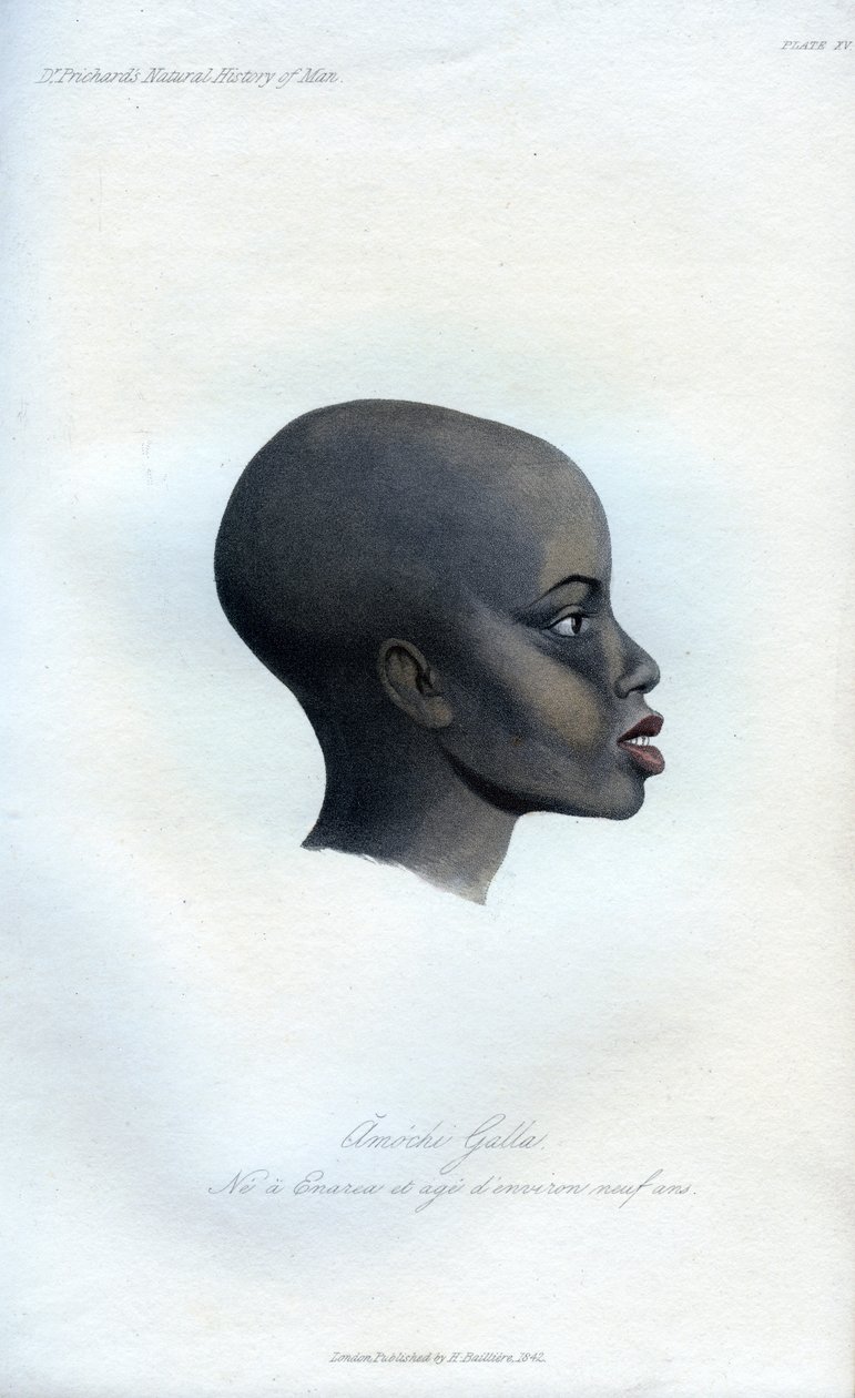 Amochi Galla，加拉的肖像，1848年 作者 不明