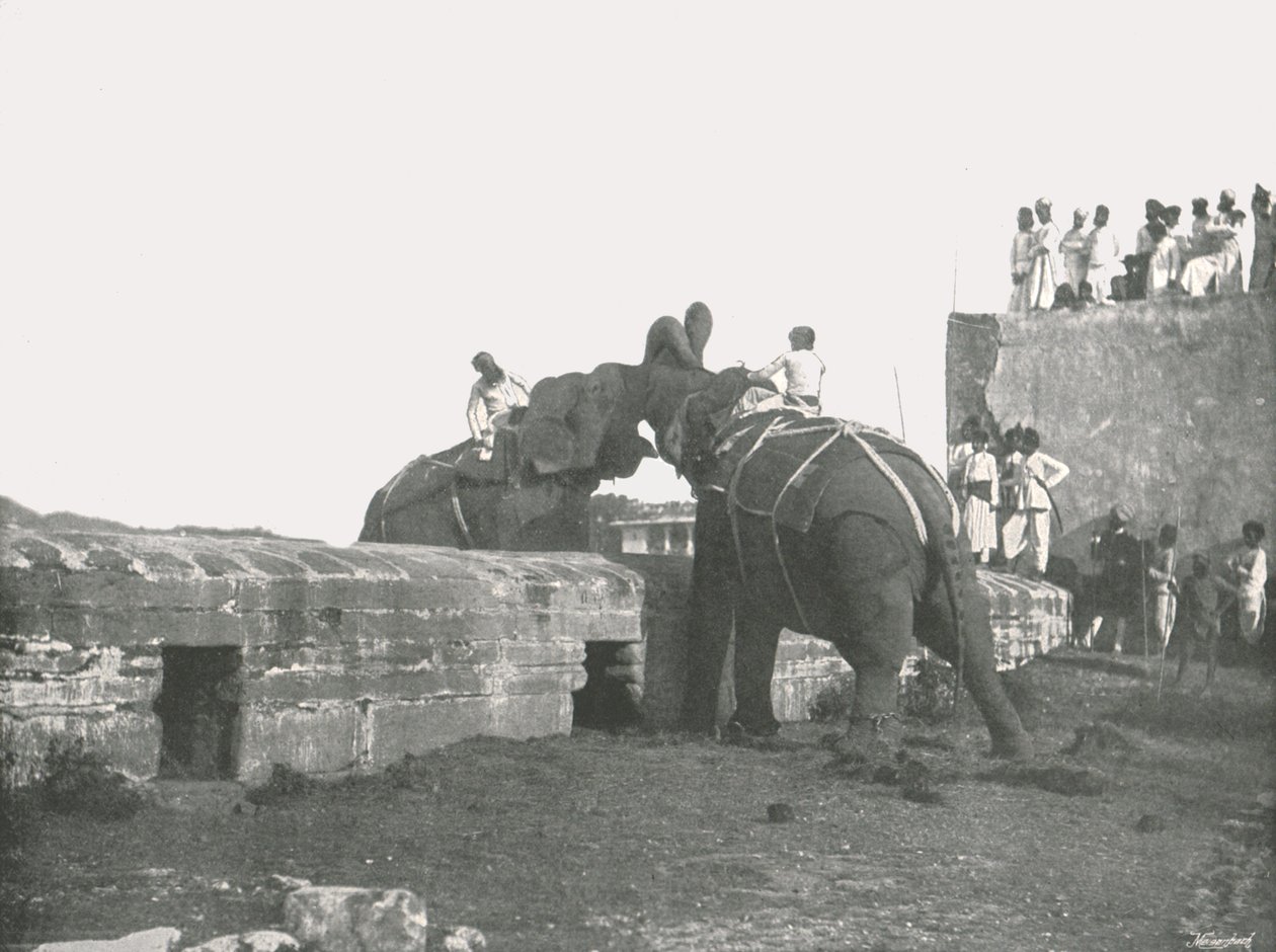 1895年，印度海得拉巴举行的大象大战。 作者 不明
