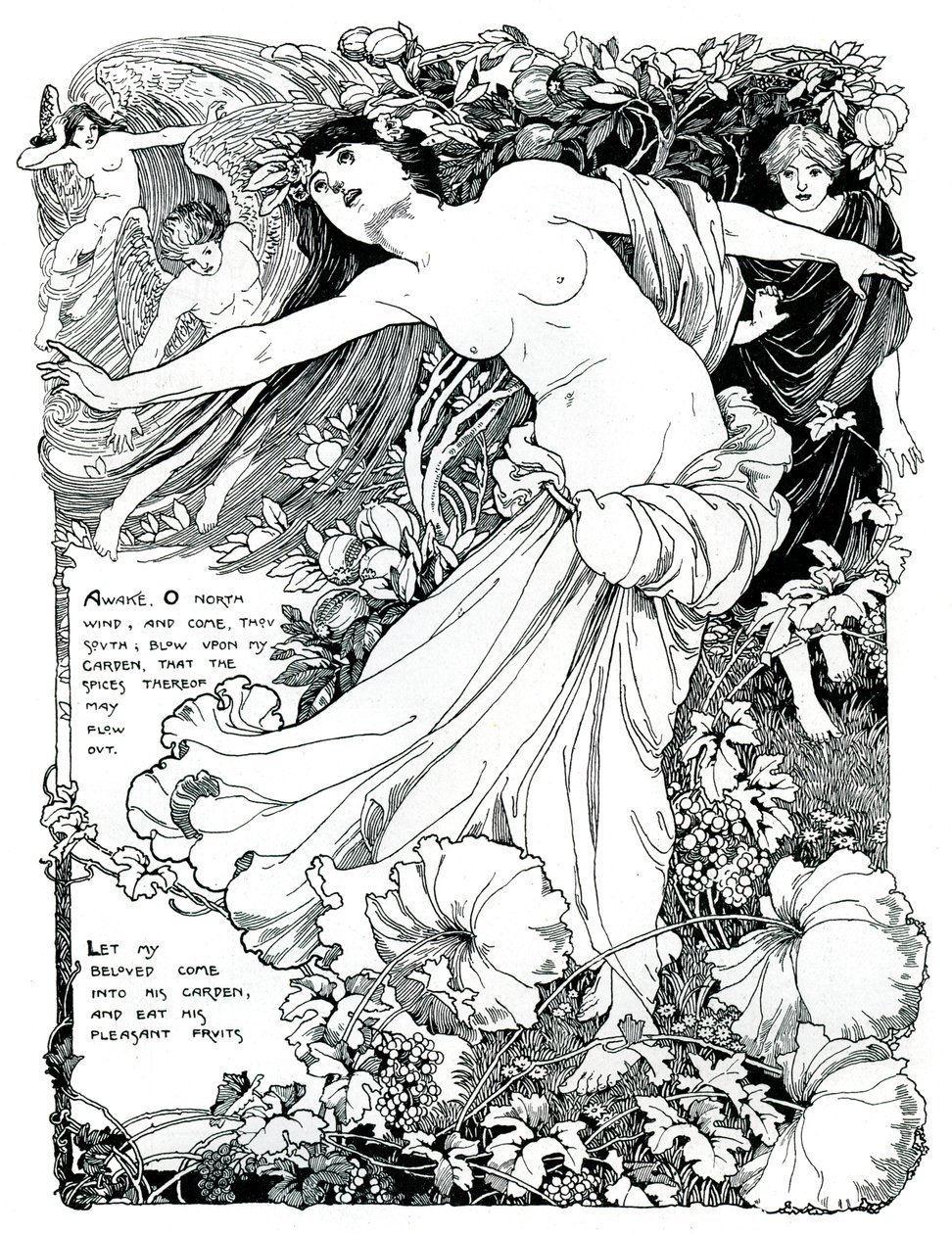 1899年所罗门之歌的插图 作者 不明