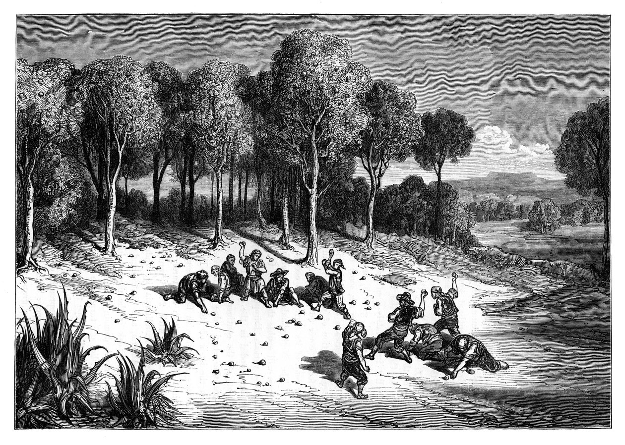1890年在西班牙南部的橘树林 作者 不明