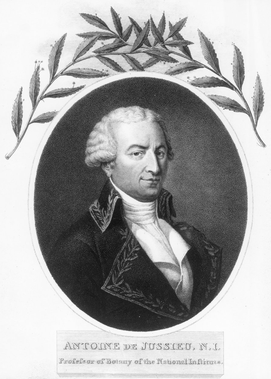Antoine de Jussieu，18世纪法国植物学家，1807年 作者 不明
