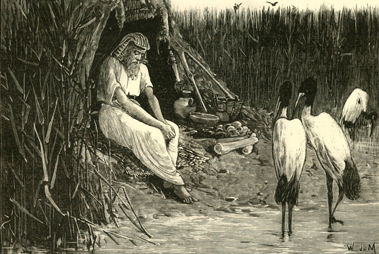 隐藏在三角洲沼泽地中的阿尼西斯（Anysis），1890年。 作者 不明