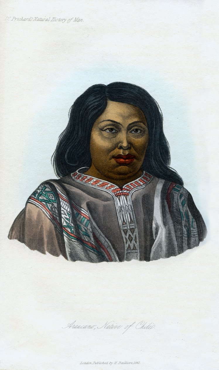Araucano，辣椒本地人，1848年 作者 不明