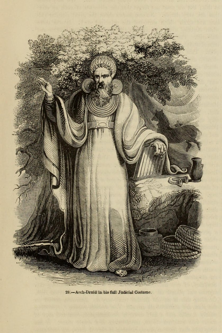 大德鲁伊身着全套司法服装，摘自《老英格兰：绘画博物馆》一书，1845年 作者 不明