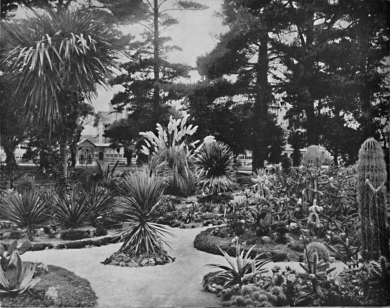 亚利桑那花园。加利福尼亚州蒙特雷市，约建于1897年。 作者 不明