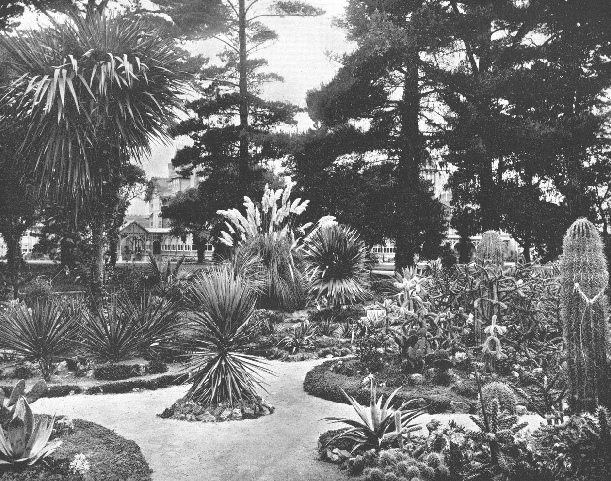 美国加利福尼亚州蒙特里的亚利桑那花园（crizona Garden），约建于1900年。 作者 不明