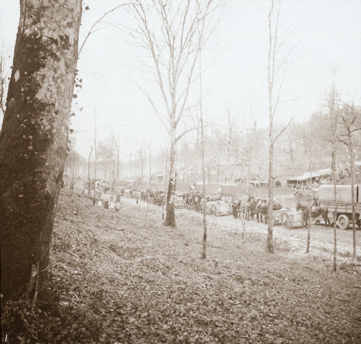 大炮，法国北部索姆镇，c1914-c1918 作者 不明