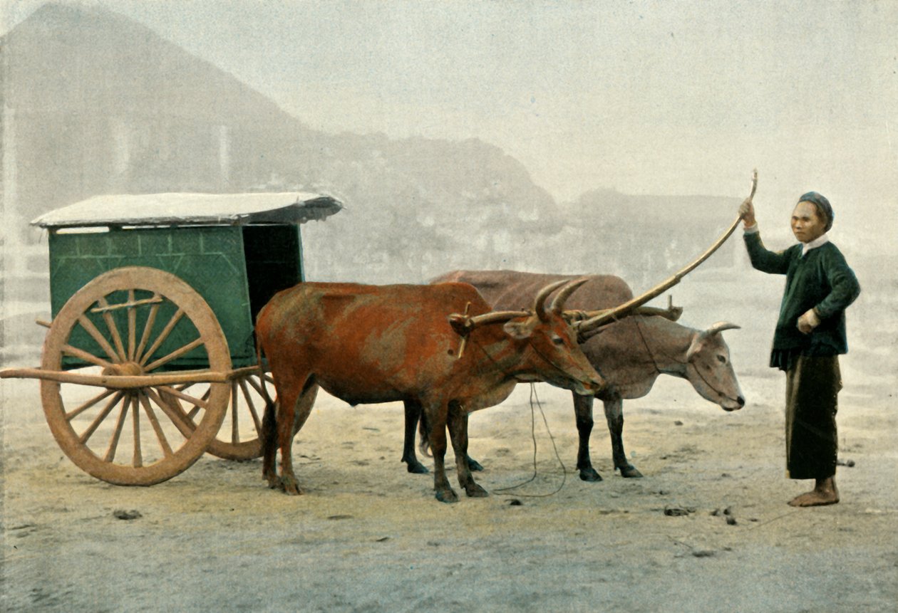 安纳米特·约克（Annamite Yoke）的安纳米特（Atmnage Annamite），1900年。 作者 不明