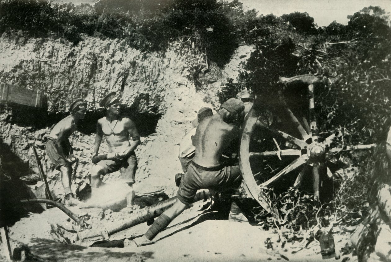 加里波利半岛上的澳大利亚枪手，1919年。 作者 不明