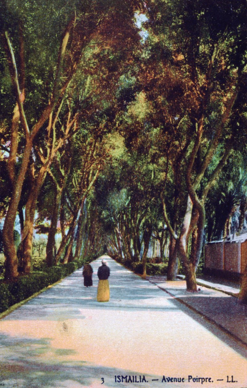 埃及伊斯梅利亚Poirpre大道，约建于1900年 作者 不明