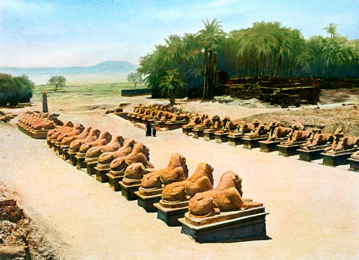 二十世纪，埃及卢克索，卡纳克神庙，阿蒙雷神庙，狮头狮身人面像大道 作者 不明