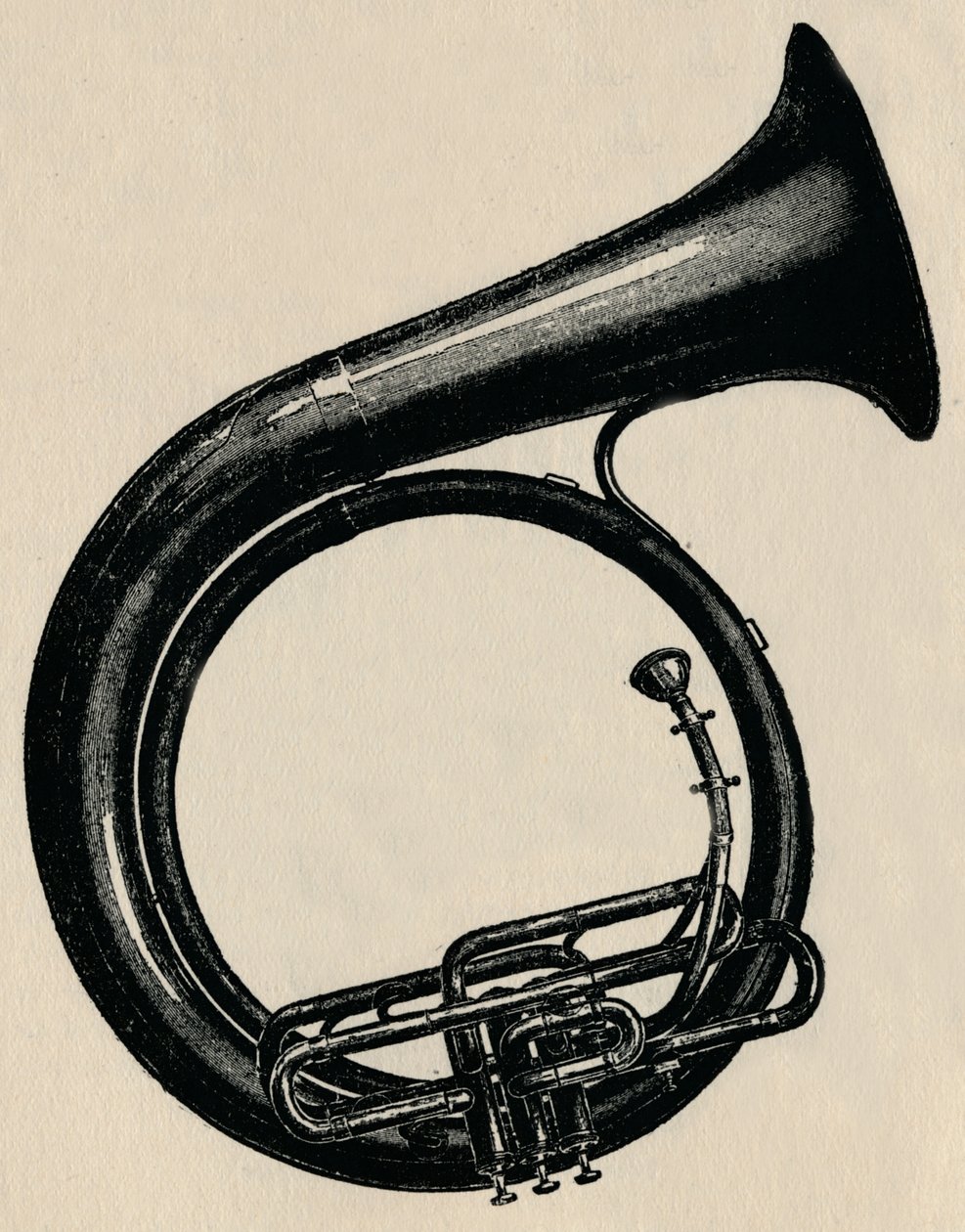 BB环形低音，1910年。 作者 不明