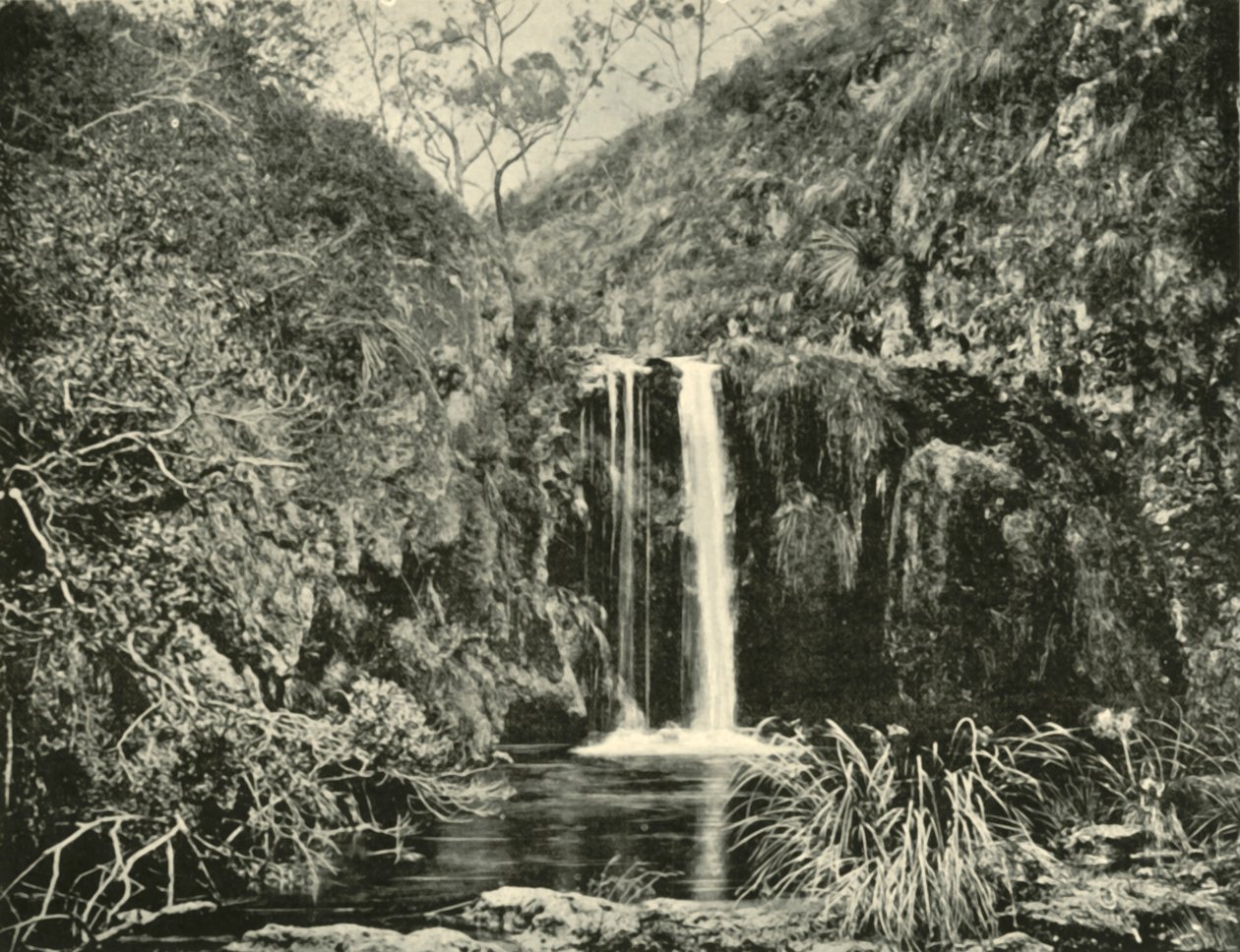 Back Creek Falls，维多利亚州布坎河，1901年。 作者 不明