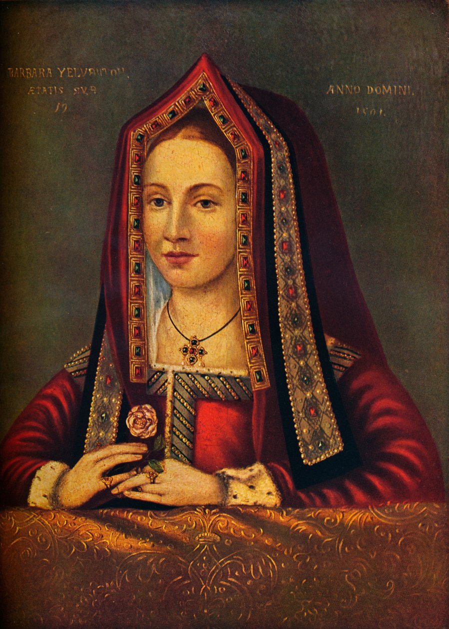 芭芭拉·韦尔弗顿（Barbara Velverton），1501，1911年 作者 不明